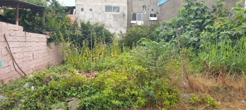 زمین 209 متری در مطهر آمل15189044914