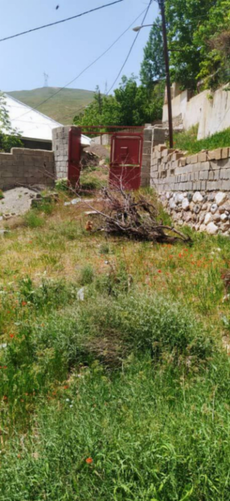 زمین 250 متری در وشته طالقان1266204585
