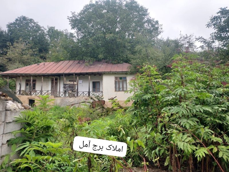 کلنگی 1000 متری در چلاو آمل15384846895