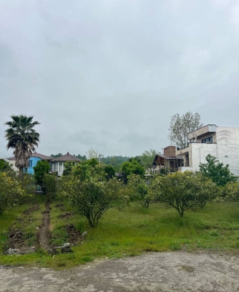 زمین 240 متری در همصفا چمستان15494748144