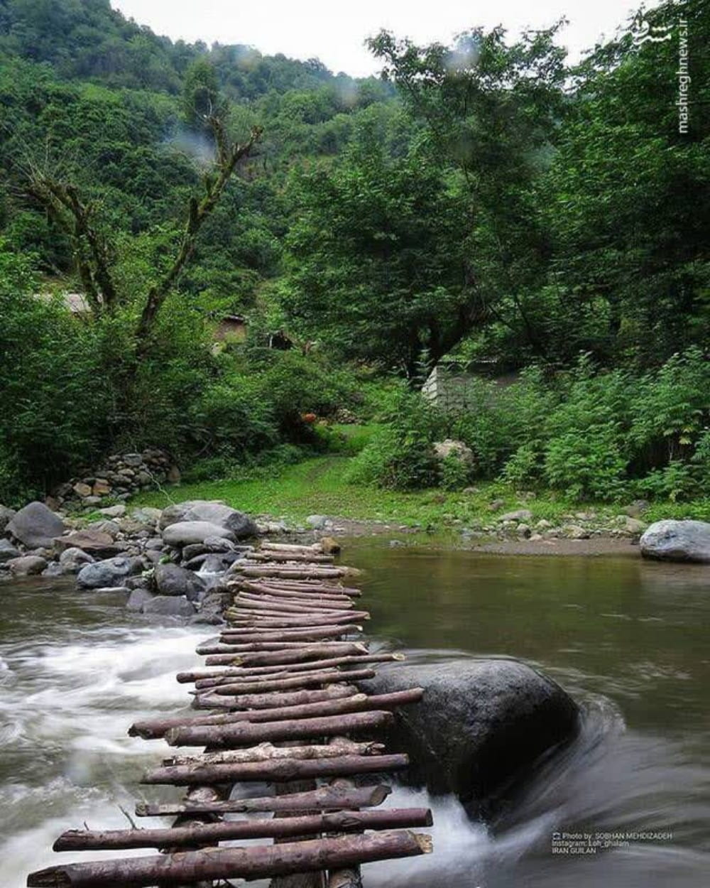 خانه 280 متری دو خوابه در خیابان امام رضا گرگان