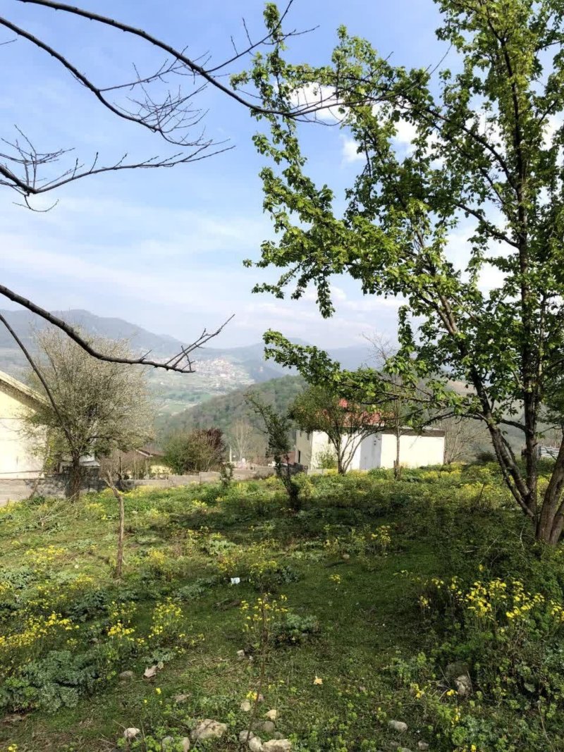 زمین 235 متری در سواد کوه15519748446