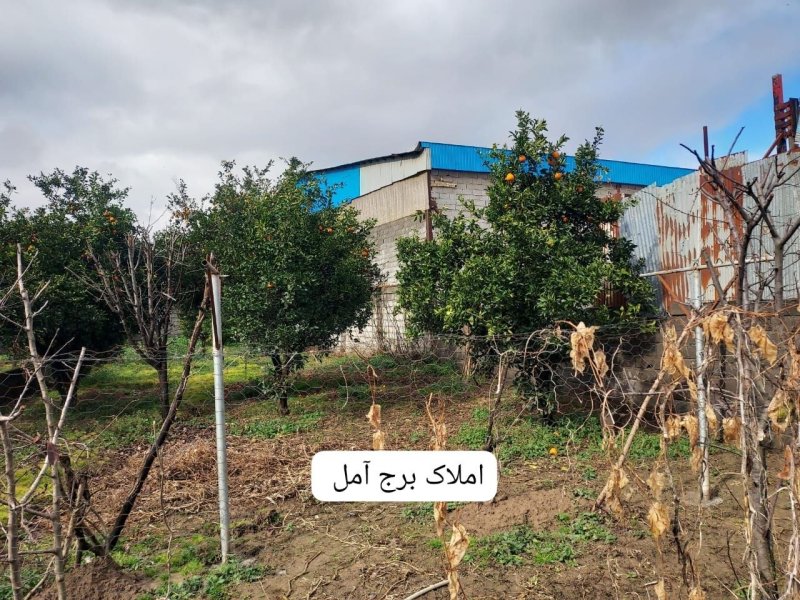 زمین 330 متری در جاده محمود آباد آمل15559248762