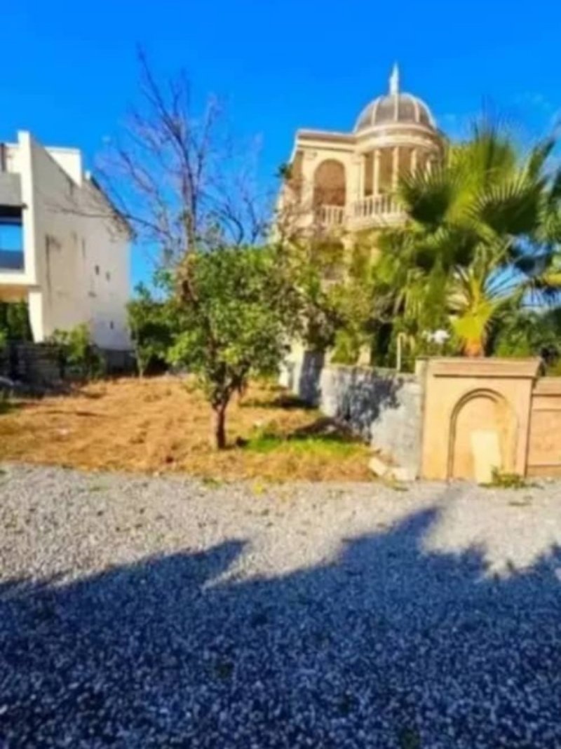 زمین 270 متری در چمستان