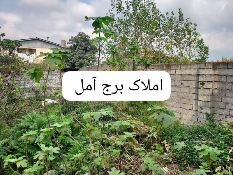 زمین 110 متری در مطهر آمل15604949223