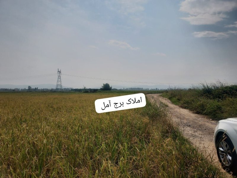 زمین 5000 متری در جاده بابل آمل15772151221