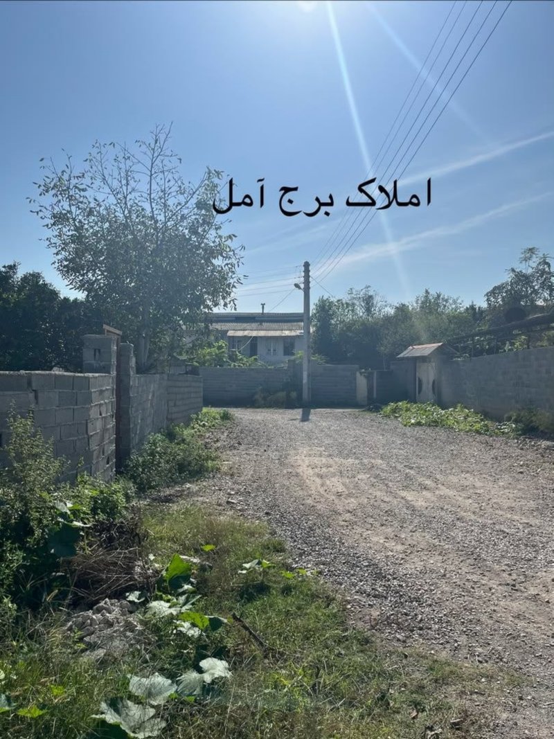 زمین 274 متری در پاشا کلا آمل