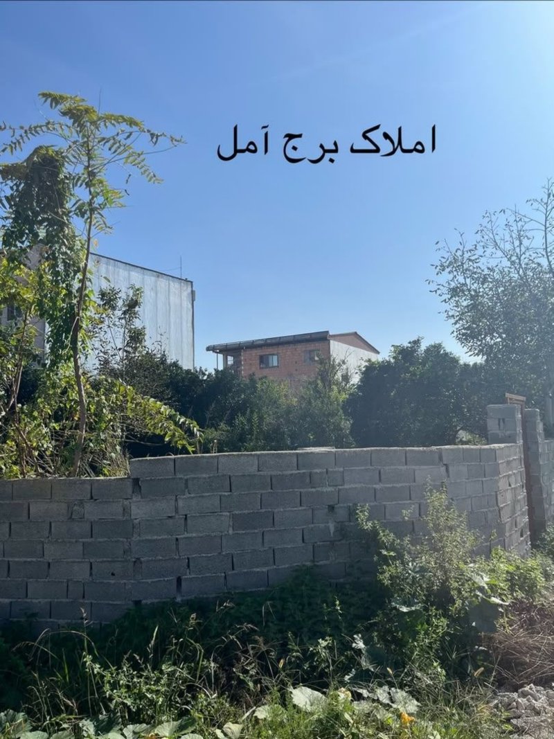 زمین 274 متری در پاشا کلا آمل15799451689