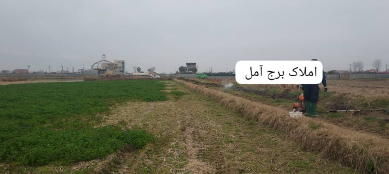 زمین 2000 متری در آمل1269355737