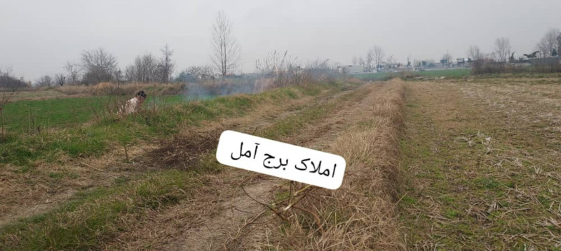 زمین 2000 متری در آمل1269355739