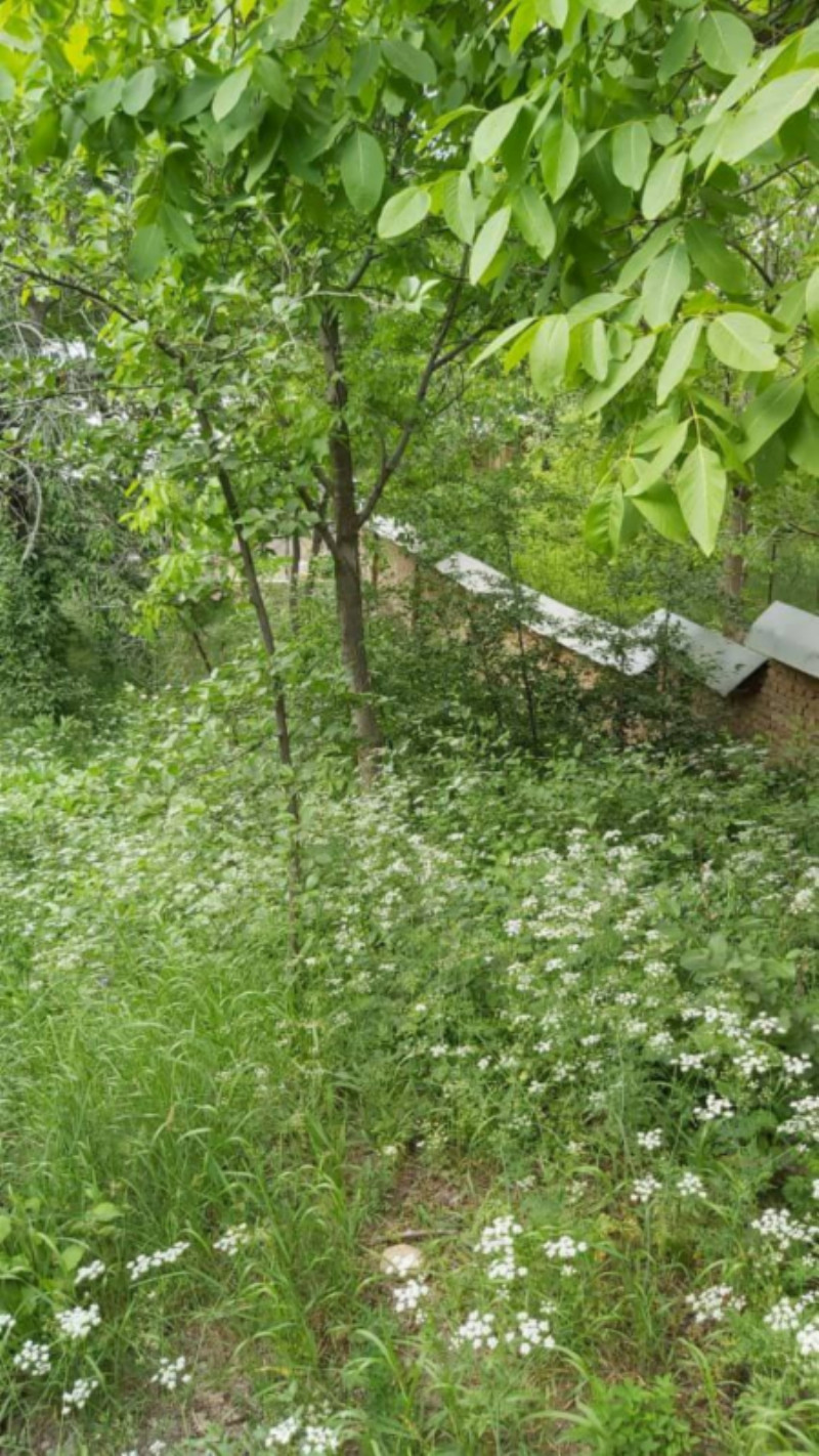 زمین 310 متری در فشندک طالقان1270586107