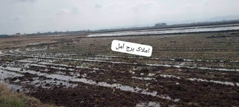 زمین 2000 متری در آمل1273516674