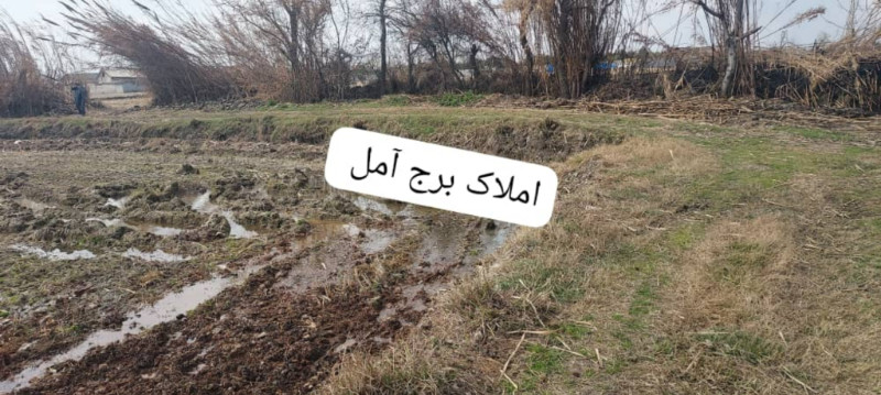 زمین 2000 متری در آمل1273516675