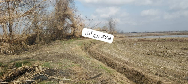 زمین 2000 متری در آمل1273516676