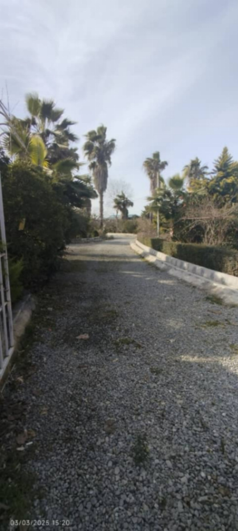 باغ 130 متری در آمل1274316873