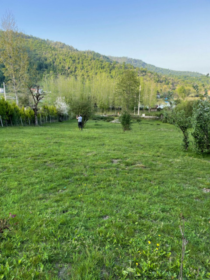 زمین 2262 متری در مرکیه ماسال1277197810