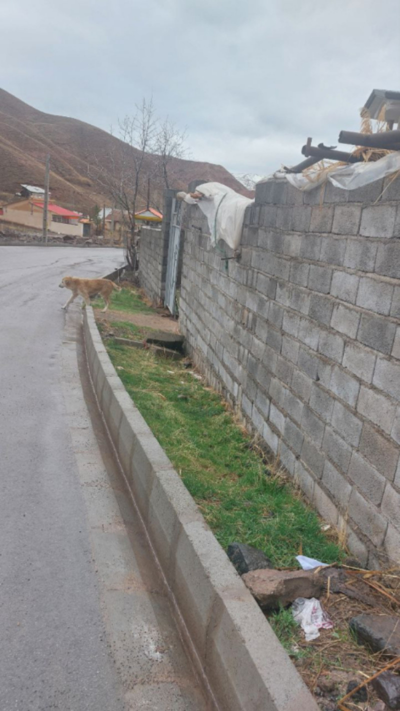 زمین 450 متری در خسبان طالقان1278107991