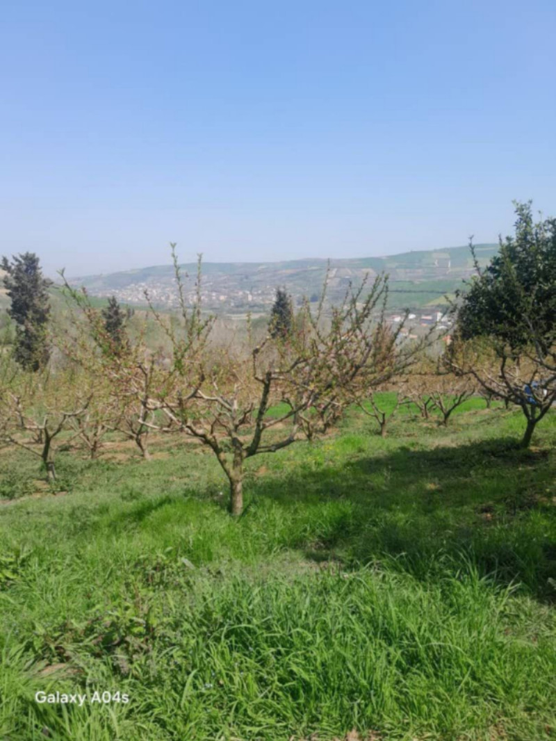 ویلا 120 متری چهارخوابه در ساری1279178312