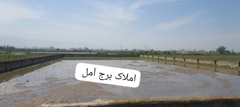 زمین 1800 متری در روستای کنسی آمل1279418446