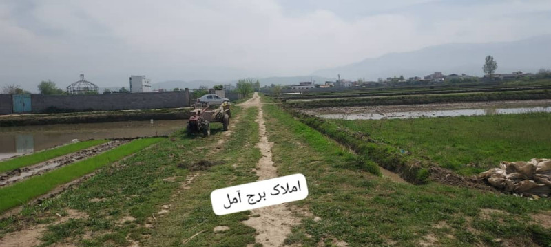 زمین 1800 متری در روستای کنسی آمل1279418447