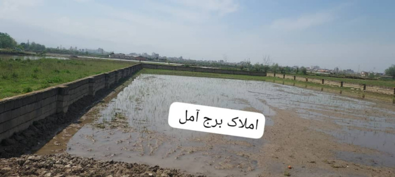 زمین 1800 متری در روستای کنسی آمل1279418448