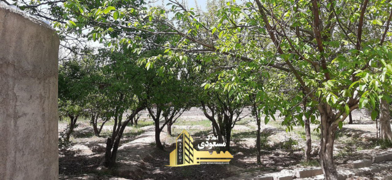 باغ 800 متری در شفیع آباد شهریار1281449521