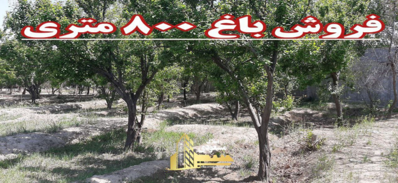باغ 800 متری در شفیع آباد شهریار1281449522