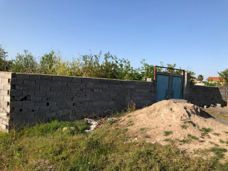 باغ 443 متری در آمل1281739662