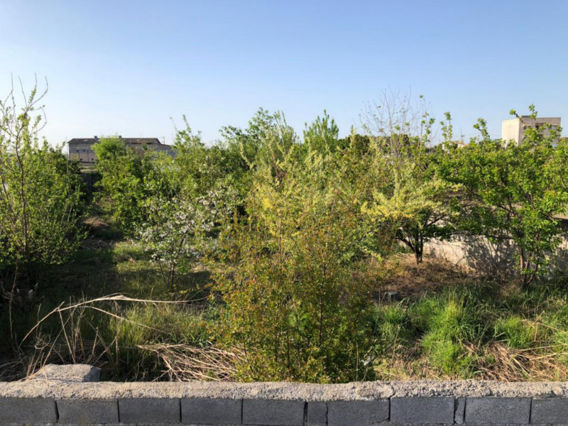 باغ 443 متری در آمل1281739664