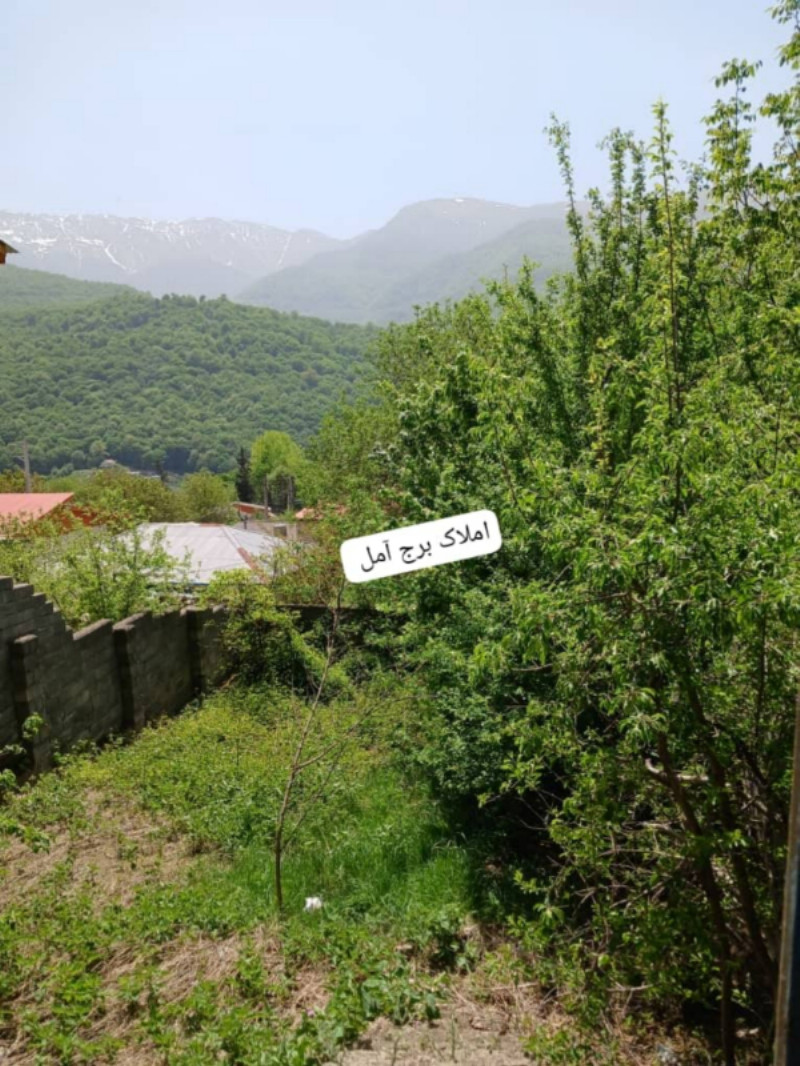زمین 185 متری در چلاو آمل1281969728
